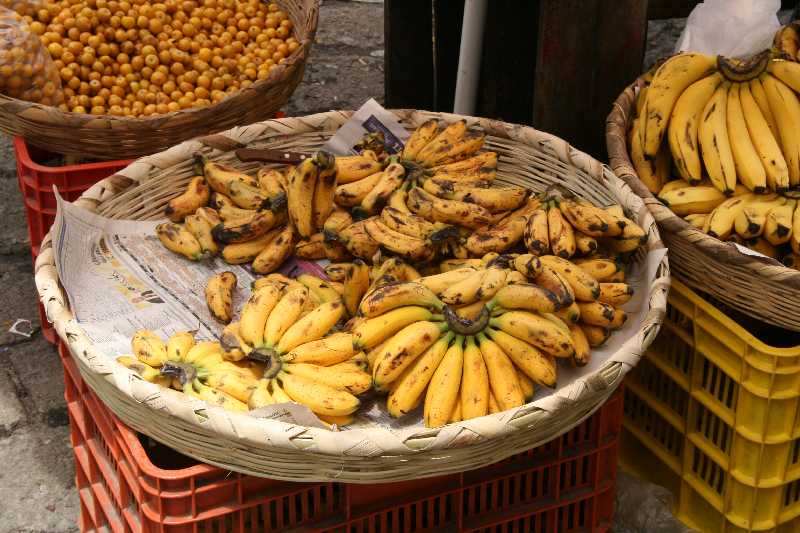 Mexico & Guatemala 2010 - 0671